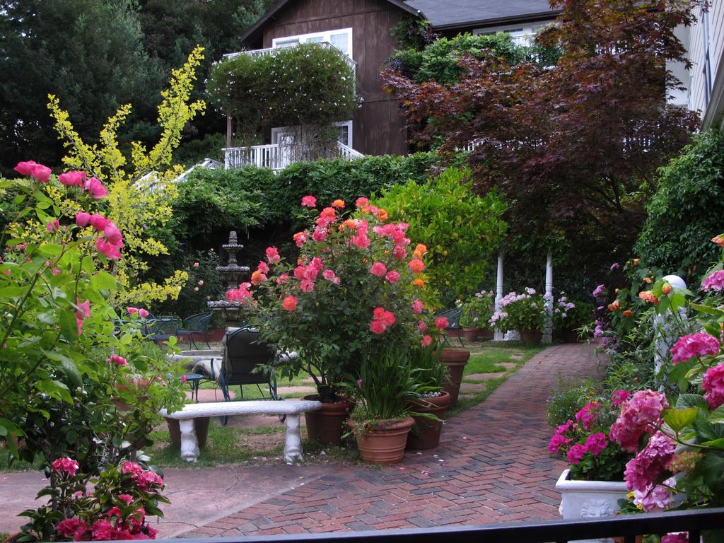 อินน์ แอท ออคซิเดนตัล Occidental ภายนอก รูปภาพ